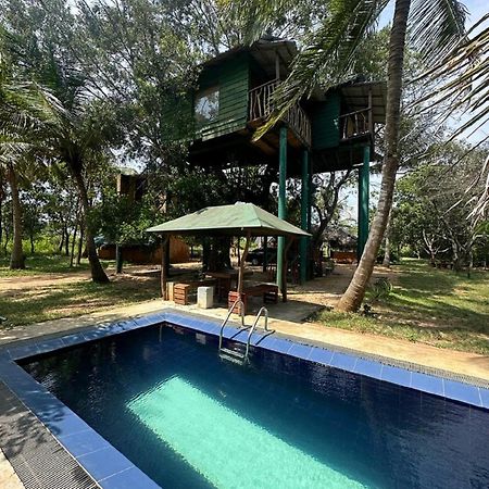 Hotel Yala Eco Tree House New Tissamaharama Exteriér fotografie