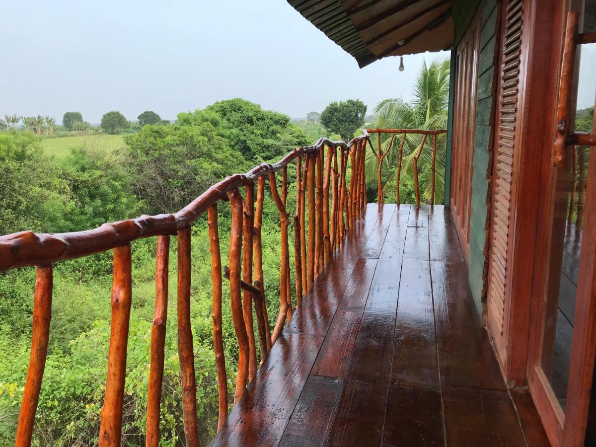 Hotel Yala Eco Tree House New Tissamaharama Exteriér fotografie