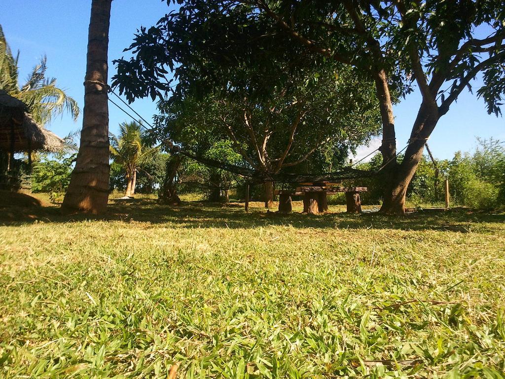 Hotel Yala Eco Tree House New Tissamaharama Exteriér fotografie