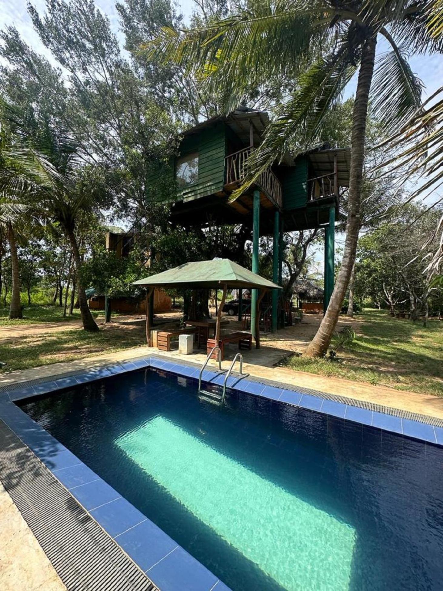 Hotel Yala Eco Tree House New Tissamaharama Exteriér fotografie