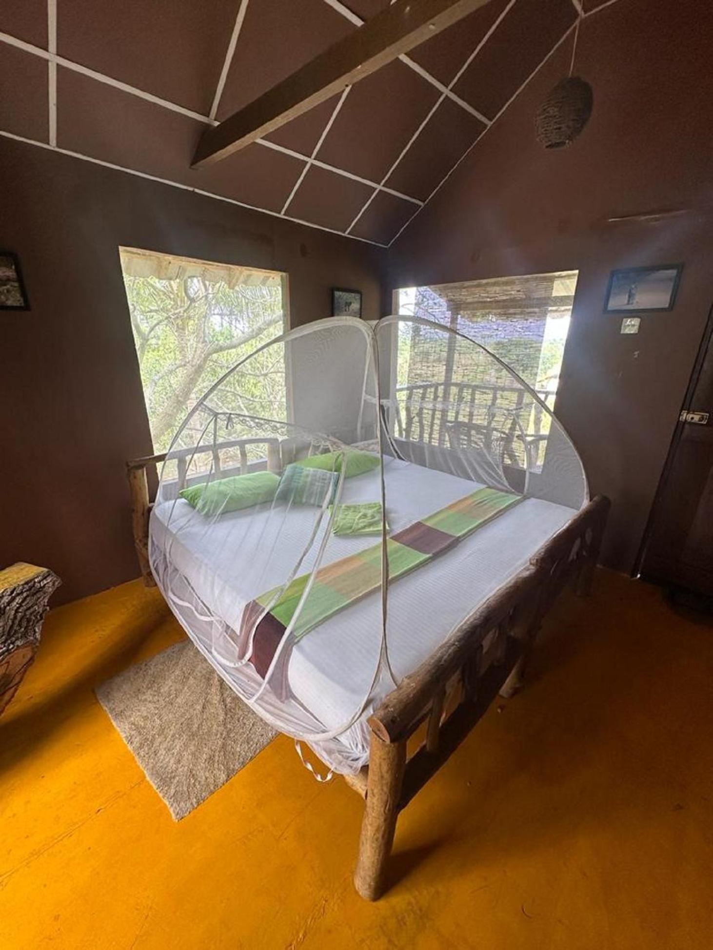 Hotel Yala Eco Tree House New Tissamaharama Exteriér fotografie