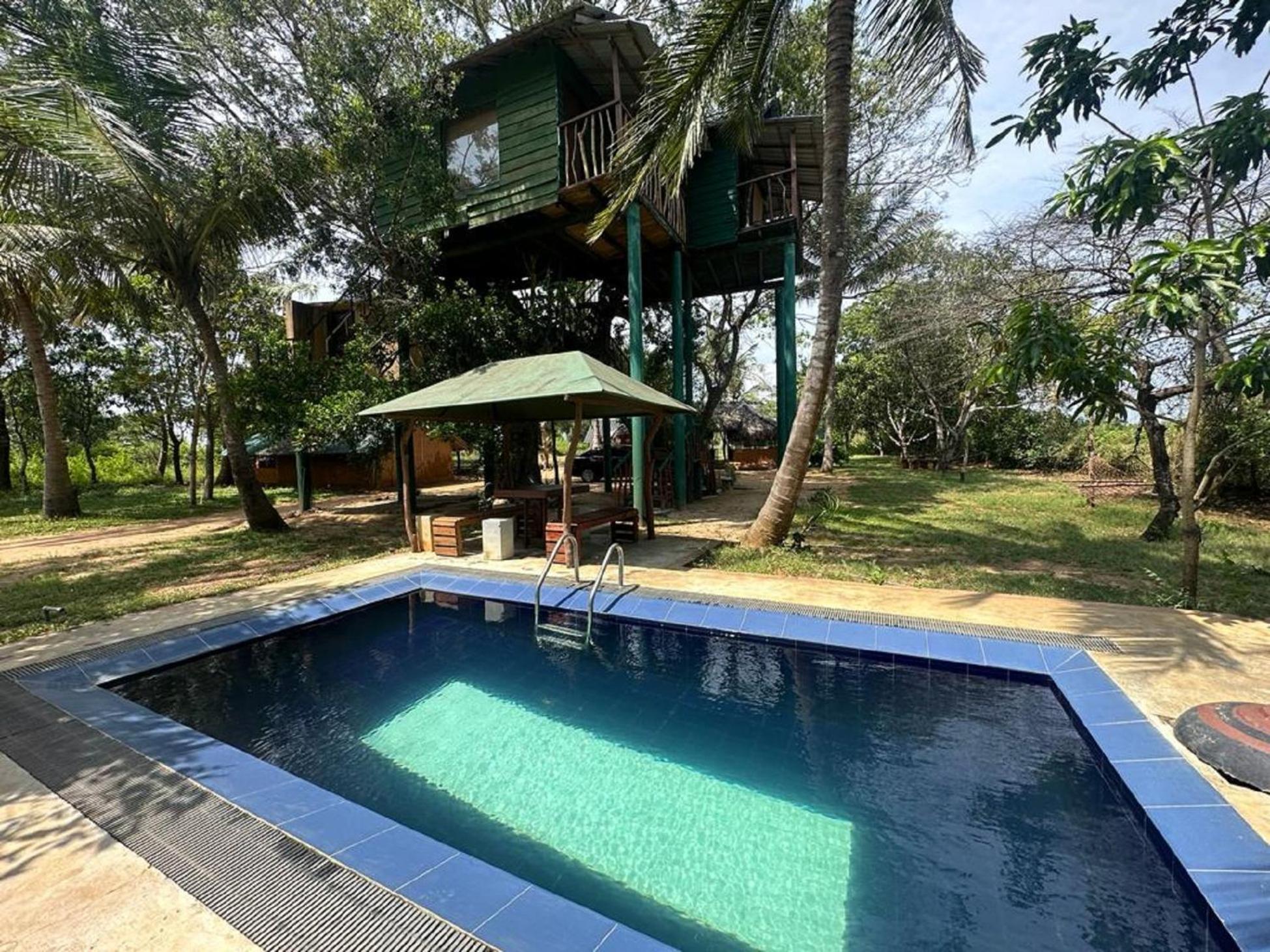 Hotel Yala Eco Tree House New Tissamaharama Exteriér fotografie