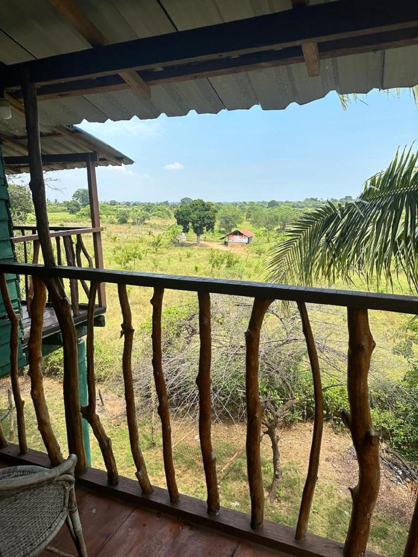 Hotel Yala Eco Tree House New Tissamaharama Exteriér fotografie
