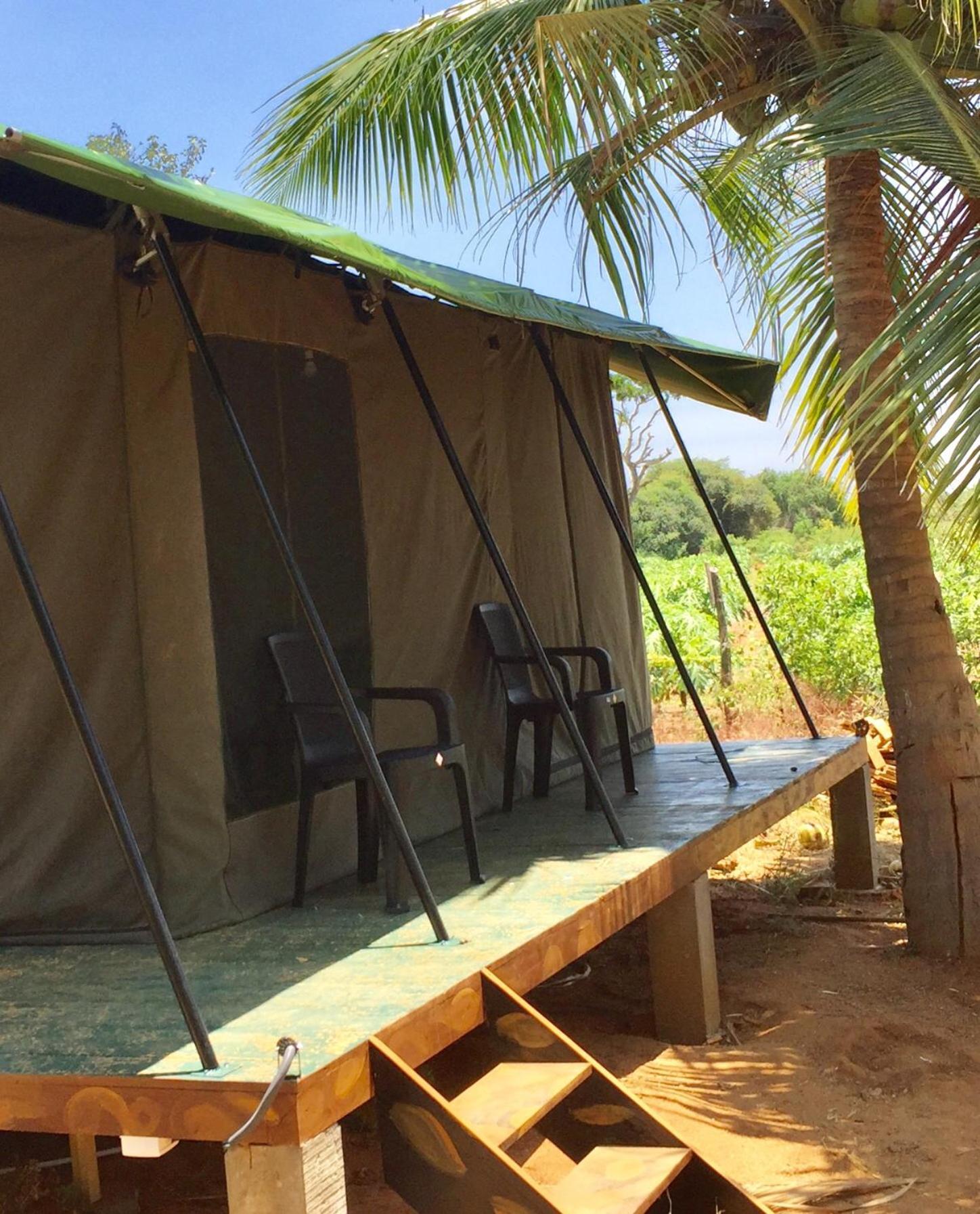 Hotel Yala Eco Tree House New Tissamaharama Exteriér fotografie