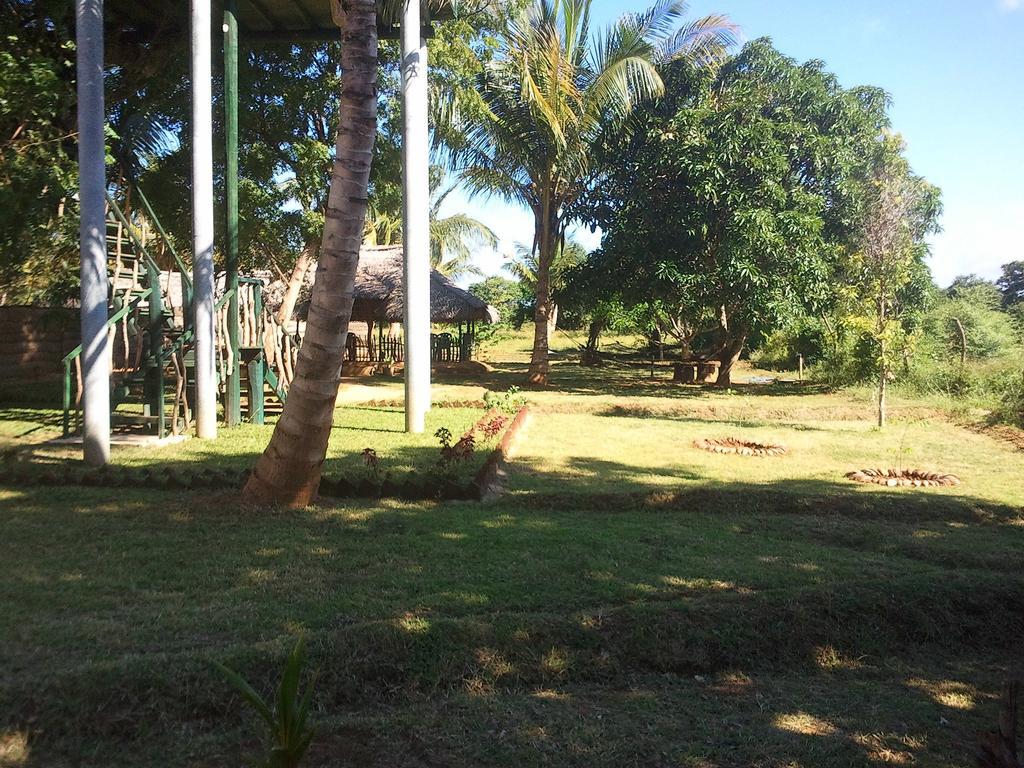 Hotel Yala Eco Tree House New Tissamaharama Exteriér fotografie