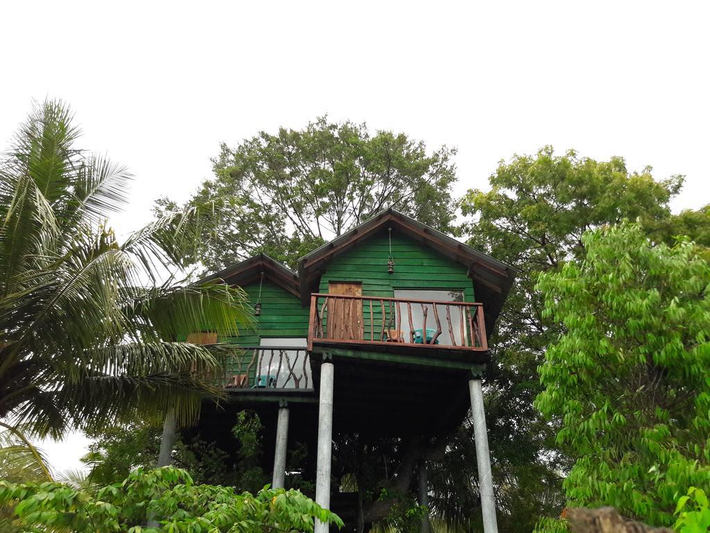 Hotel Yala Eco Tree House New Tissamaharama Exteriér fotografie