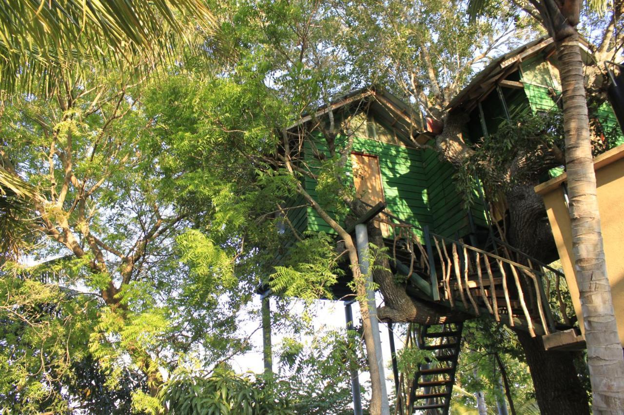 Hotel Yala Eco Tree House New Tissamaharama Exteriér fotografie