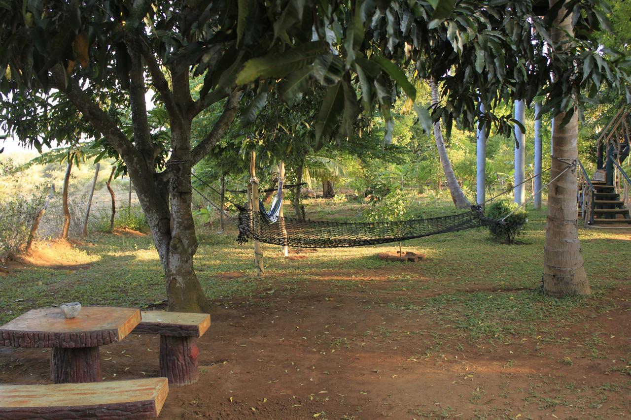 Hotel Yala Eco Tree House New Tissamaharama Exteriér fotografie