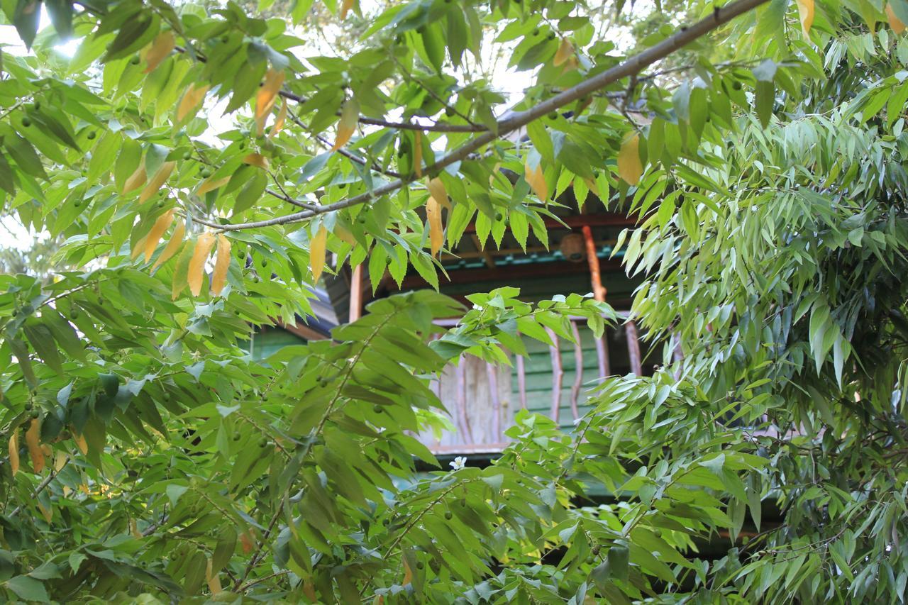 Hotel Yala Eco Tree House New Tissamaharama Exteriér fotografie
