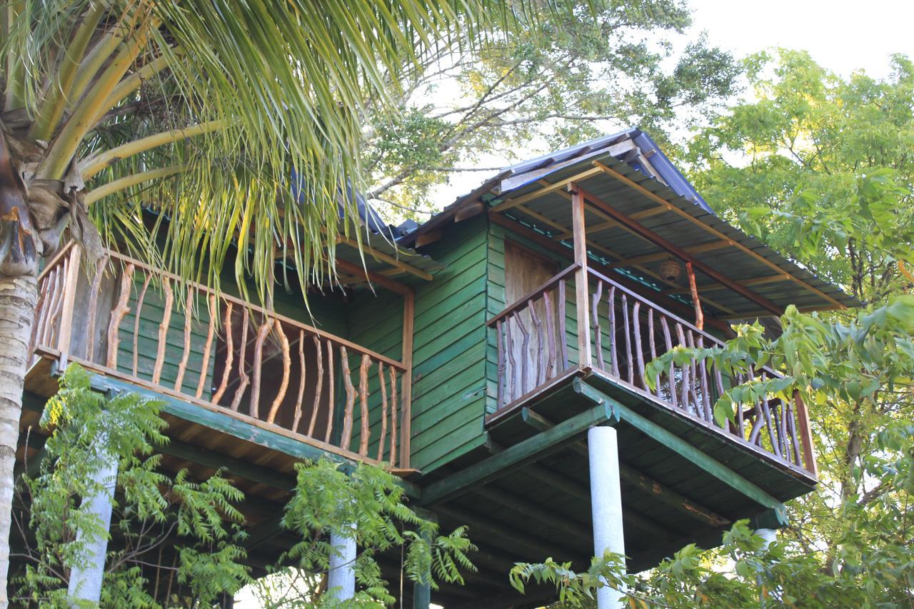 Hotel Yala Eco Tree House New Tissamaharama Exteriér fotografie