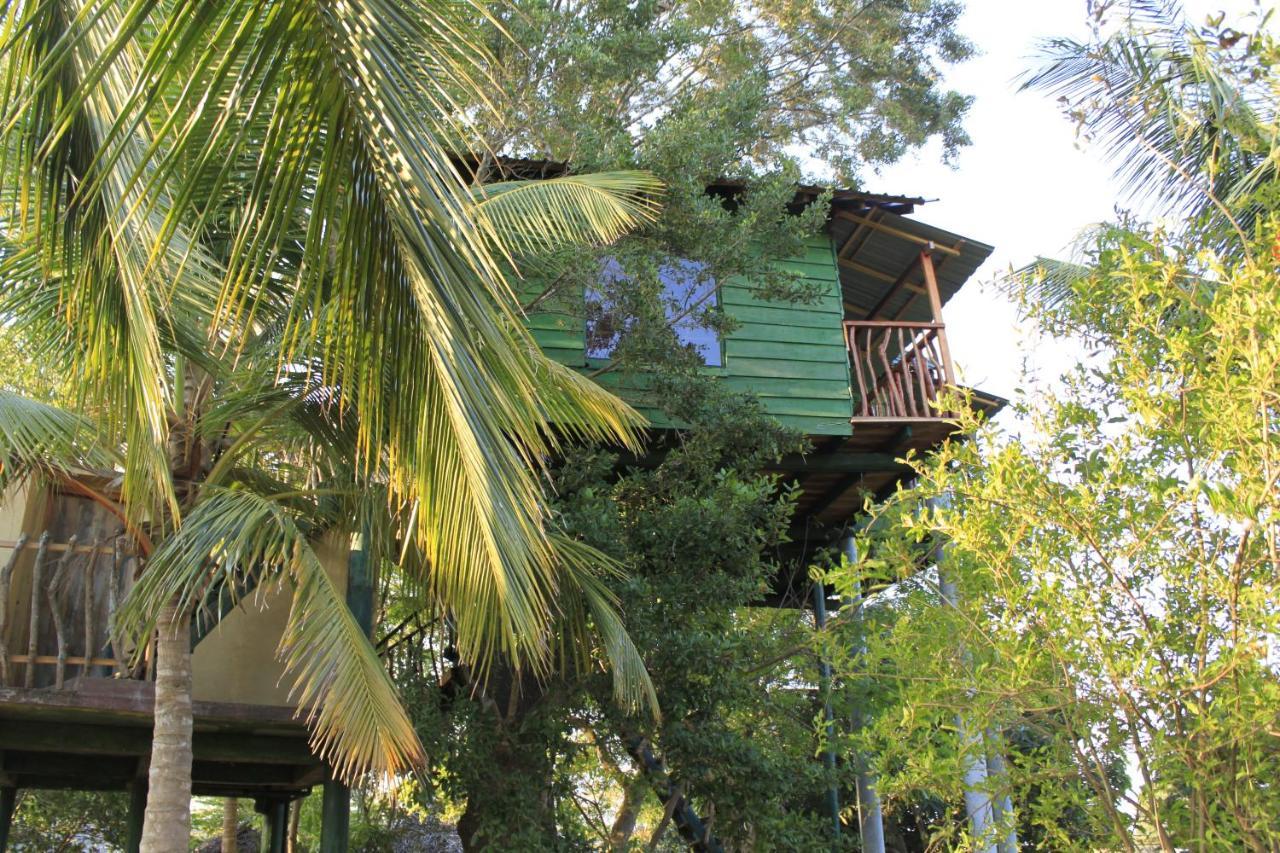 Hotel Yala Eco Tree House New Tissamaharama Exteriér fotografie