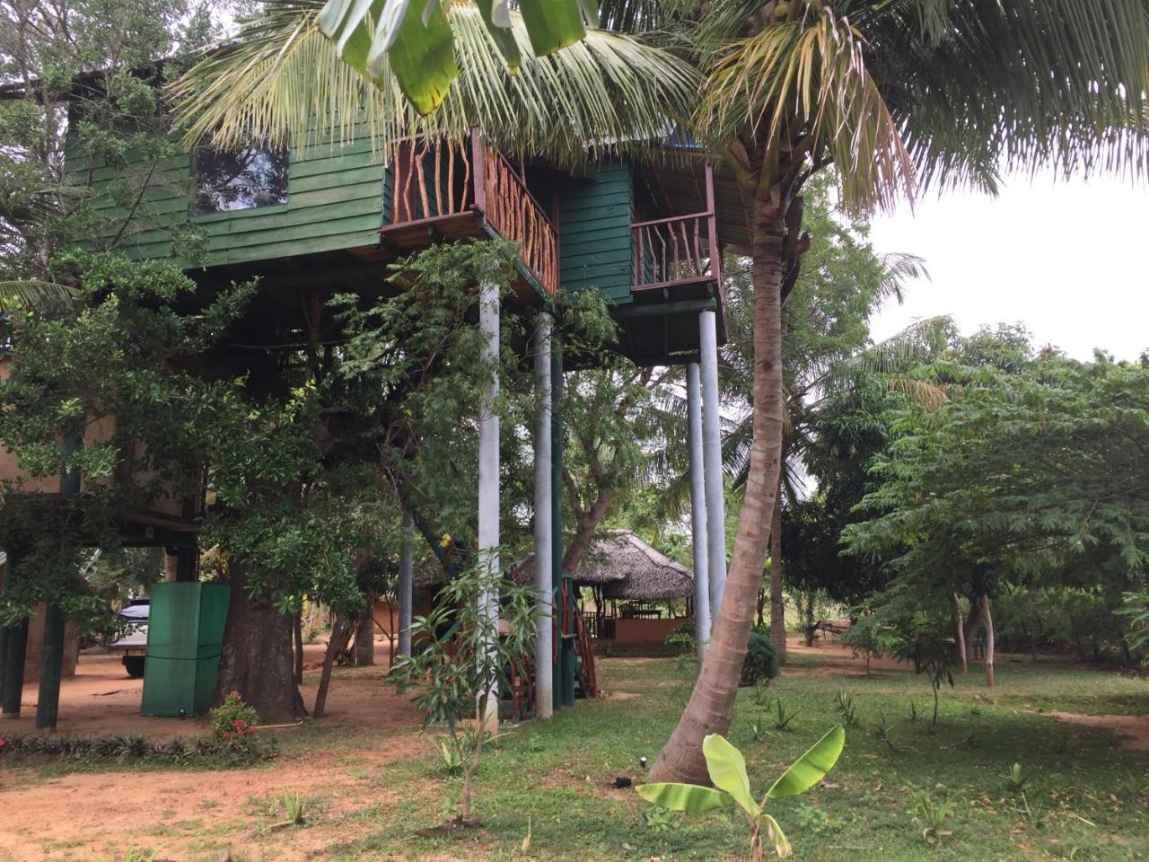 Hotel Yala Eco Tree House New Tissamaharama Exteriér fotografie