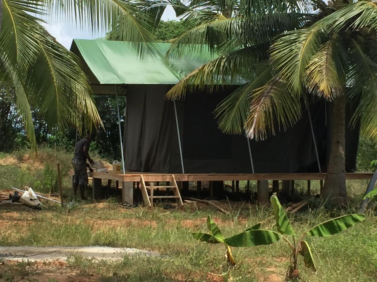 Hotel Yala Eco Tree House New Tissamaharama Exteriér fotografie