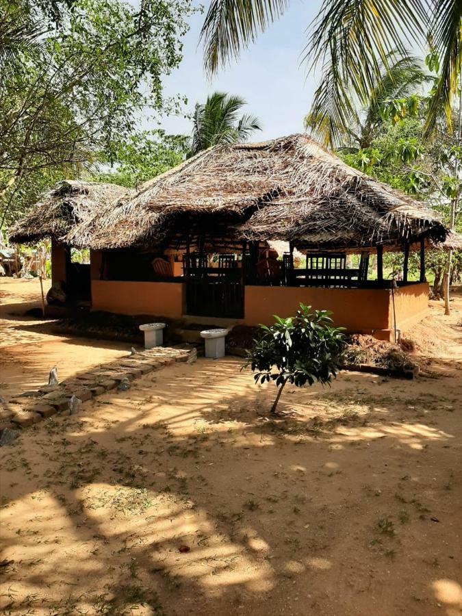 Hotel Yala Eco Tree House New Tissamaharama Exteriér fotografie