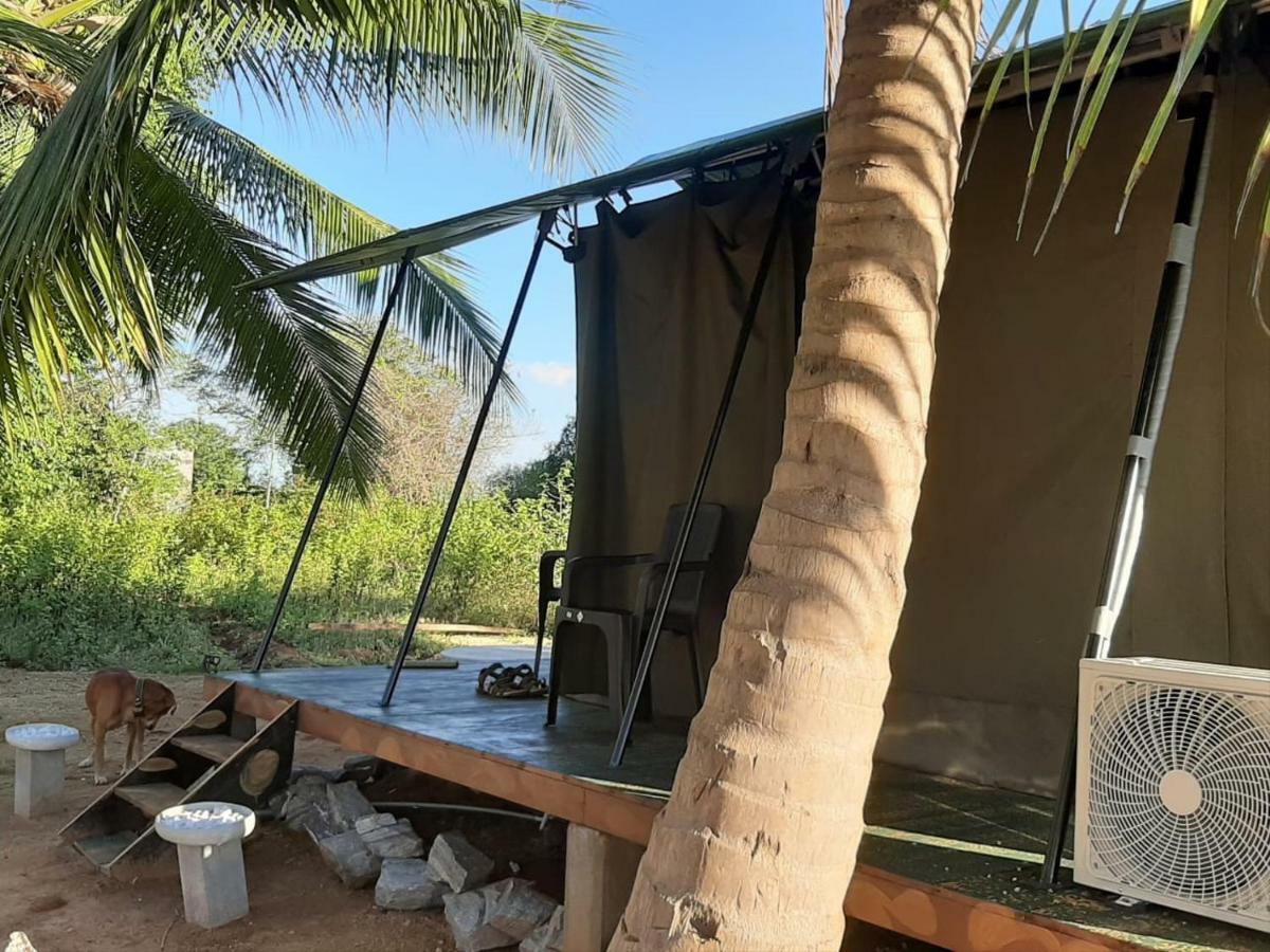 Hotel Yala Eco Tree House New Tissamaharama Exteriér fotografie