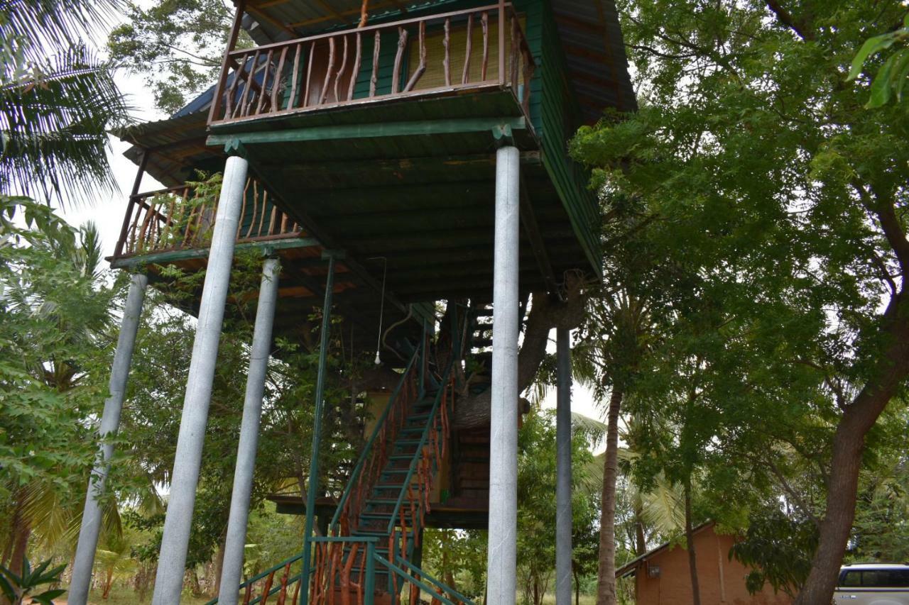 Hotel Yala Eco Tree House New Tissamaharama Exteriér fotografie