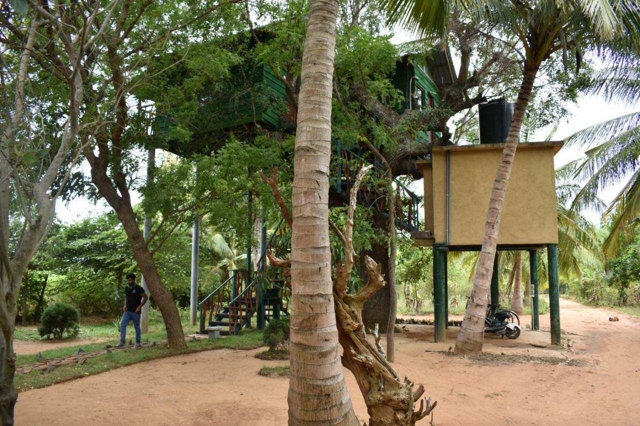 Hotel Yala Eco Tree House New Tissamaharama Exteriér fotografie