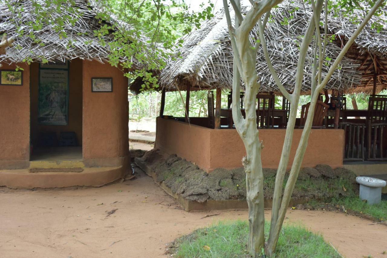 Hotel Yala Eco Tree House New Tissamaharama Exteriér fotografie