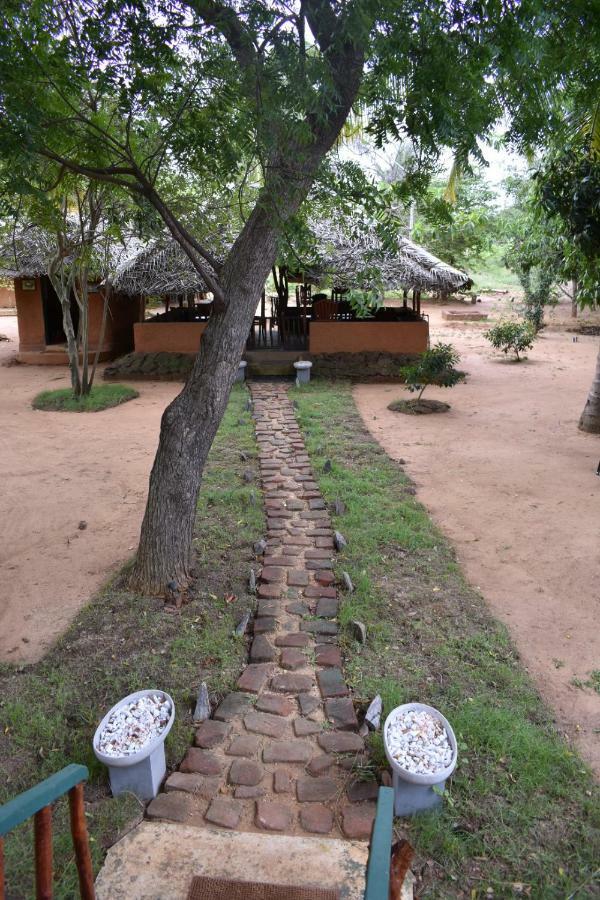 Hotel Yala Eco Tree House New Tissamaharama Exteriér fotografie